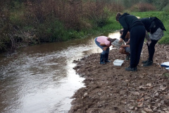 Inspecció del riu a Hostalric_Apadrinaments Libera Hostalric 